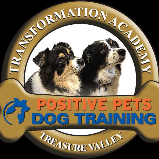 Positive Pets Dog Training