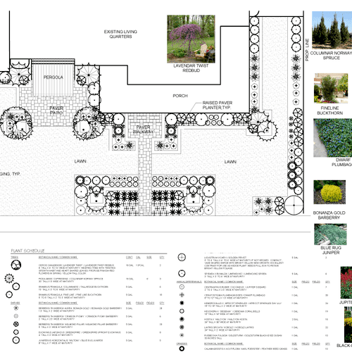 Landscape Plan Example