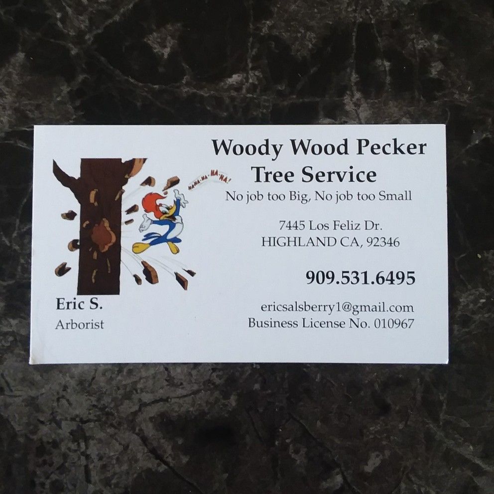 Woody wood pecker tree service