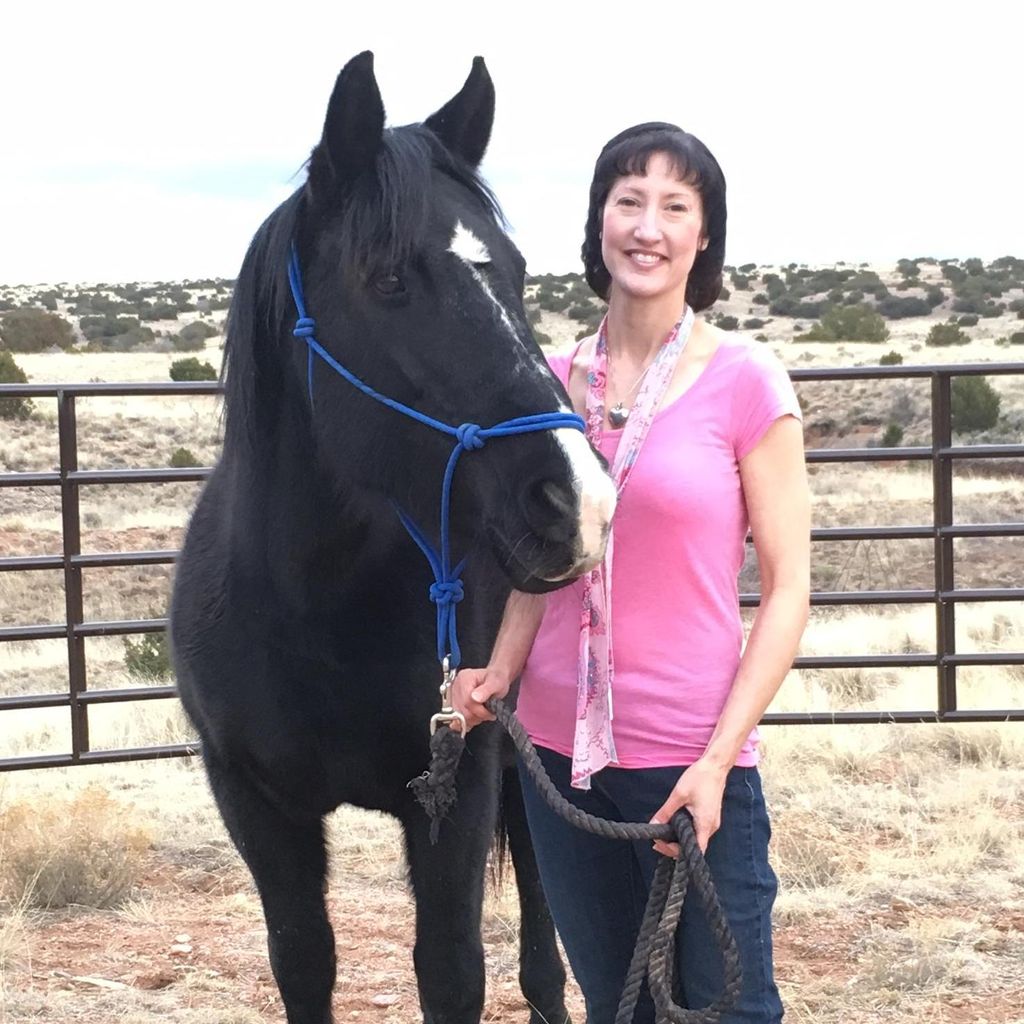 Unicorn Mesa, LLC - Equine Assisted Healing, In...