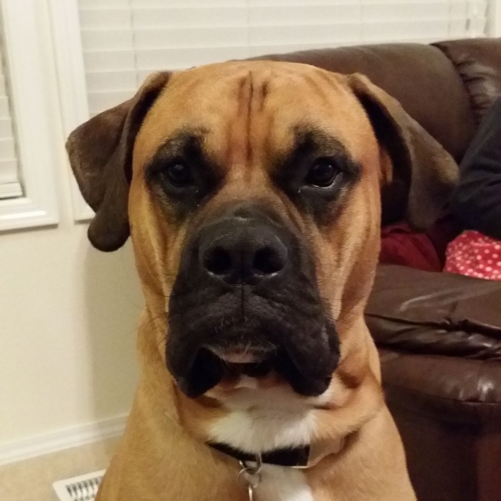 Got Pets?
We do too! And we don't charge pet owner