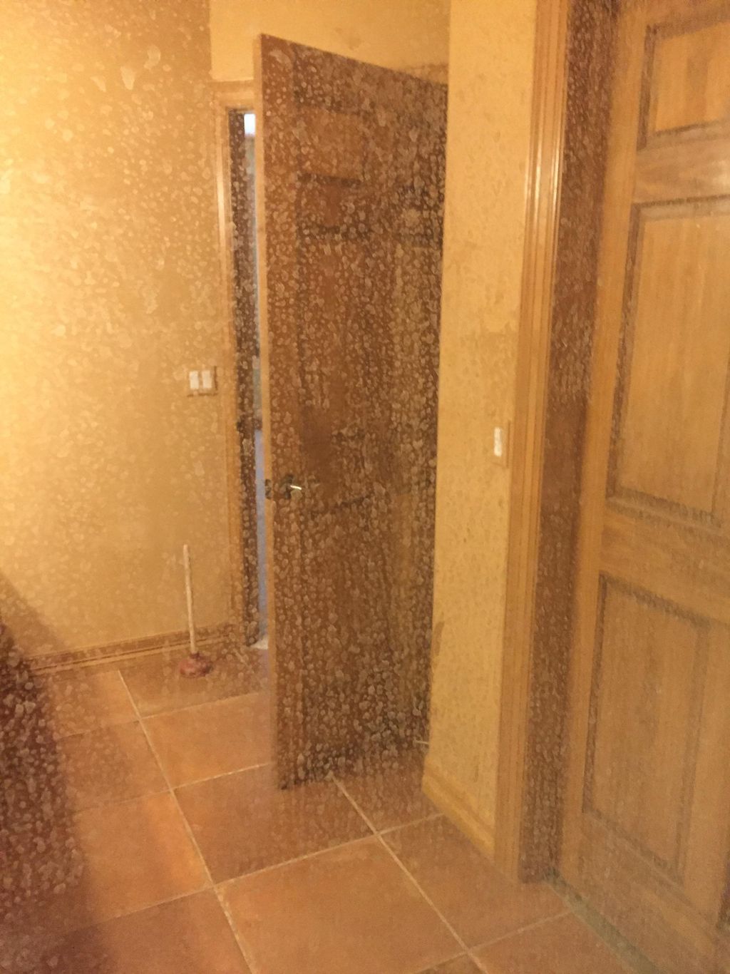 Shower glass before clean 