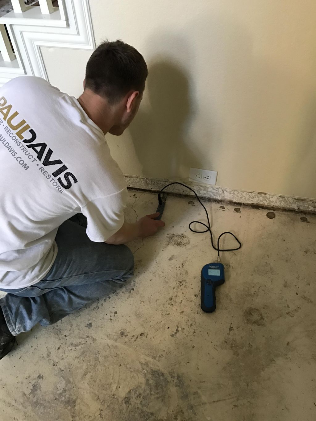 Using a moisture meter to determine moisture level