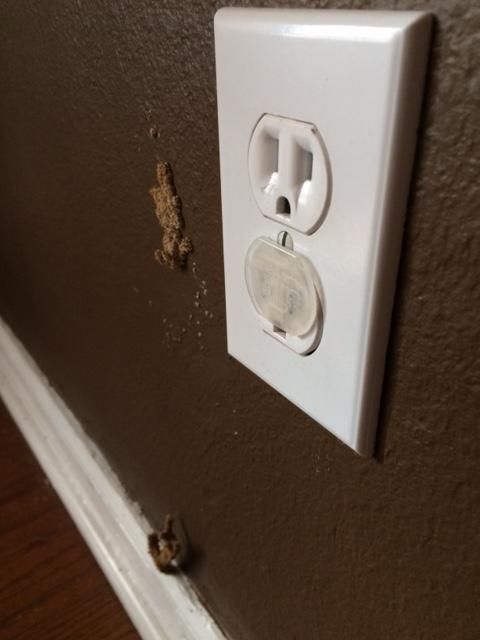 Termite mud tubes coming through the wall.