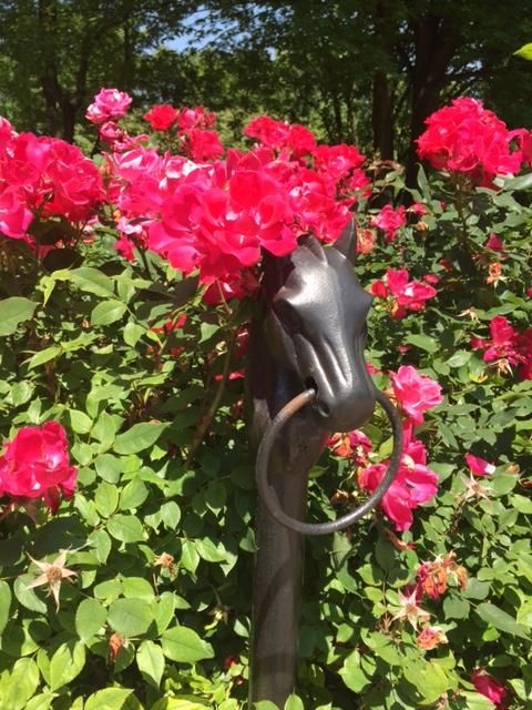 Traditional to Contemporary Design