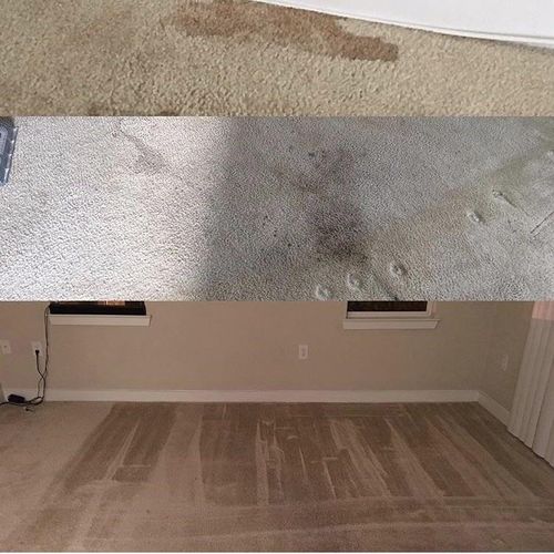 Move Out Deep Clean Before and After Carpet 