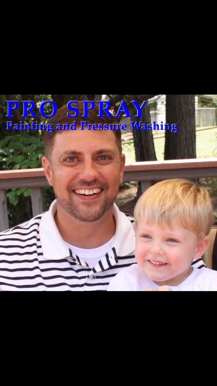 Pro Spray Painting And Pressure Washing