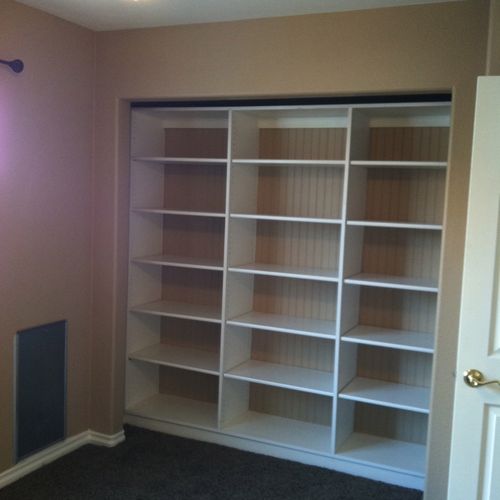 Adjustable Book/Display Case in converted closet.