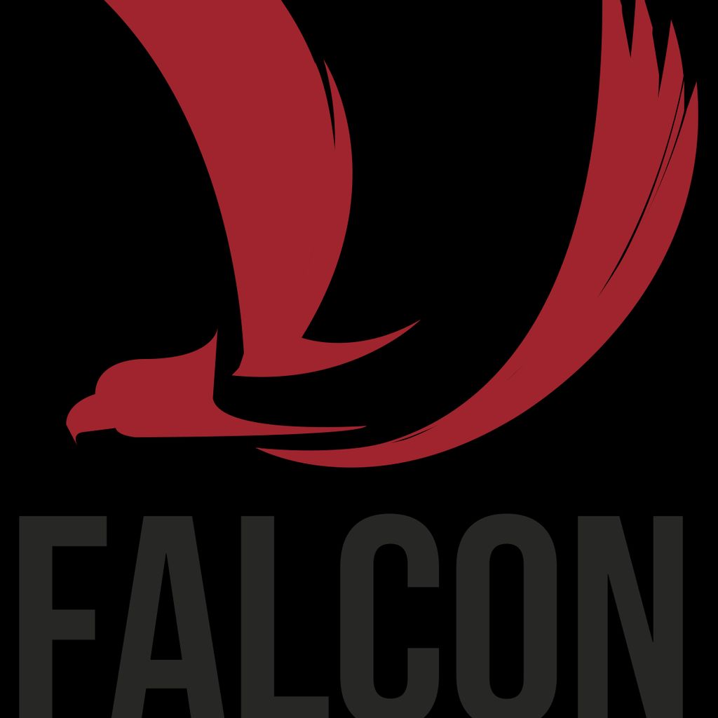 Falcon Eyes Photo Services