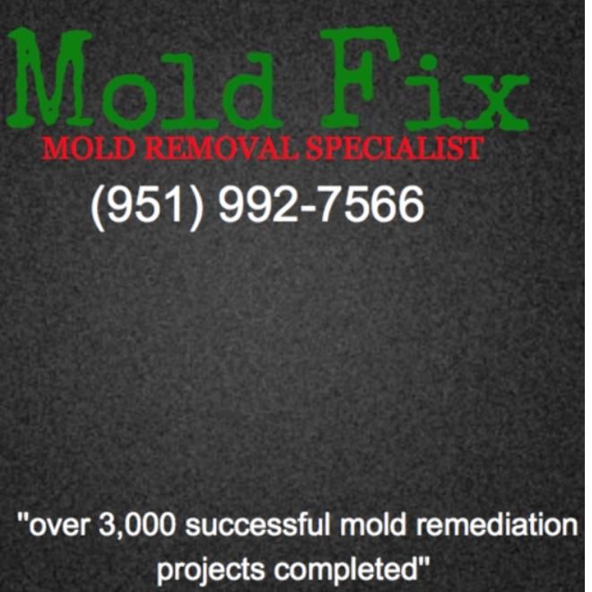 Mold Fix