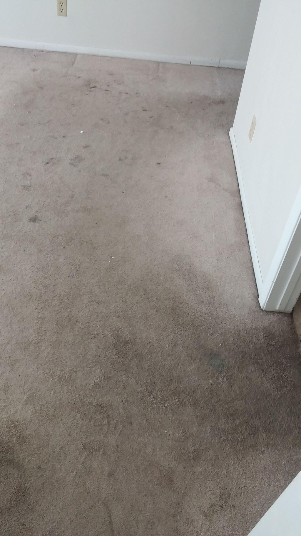 This is a before picture of a heavily soiled Maste