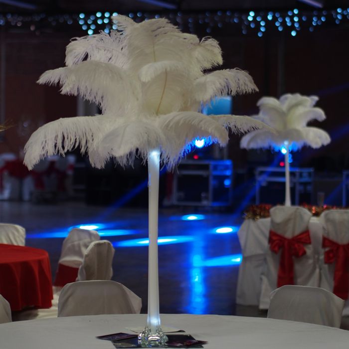 Shatata Events - Ostrich Feather Rentals