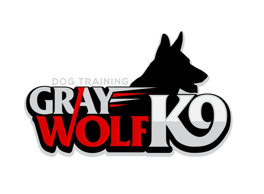 Gray Wolf K9