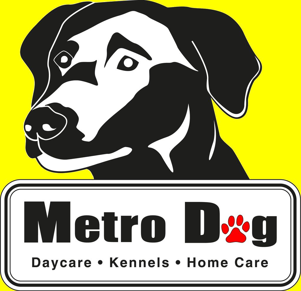 Metro Dog