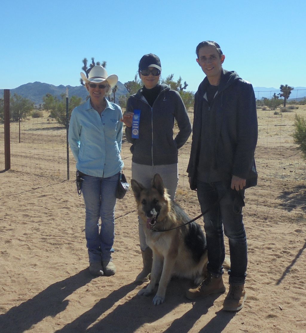 AKC Canine Good Citizen training and testing!