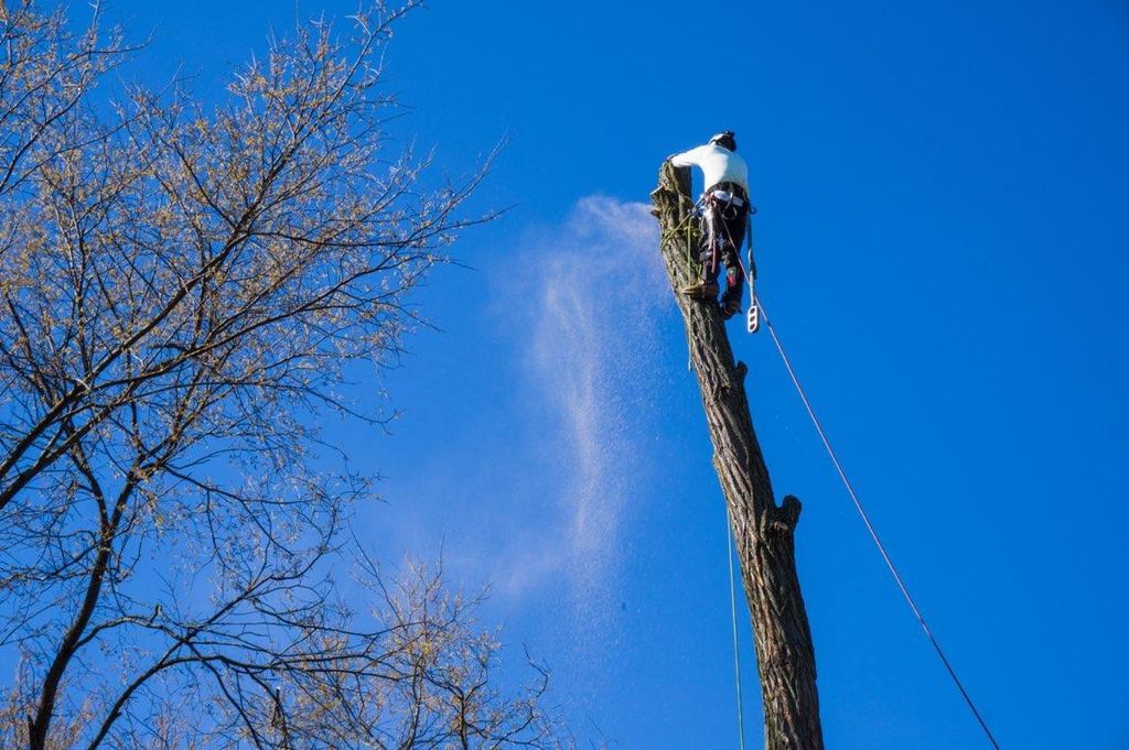 blocking down logs, one at a time!