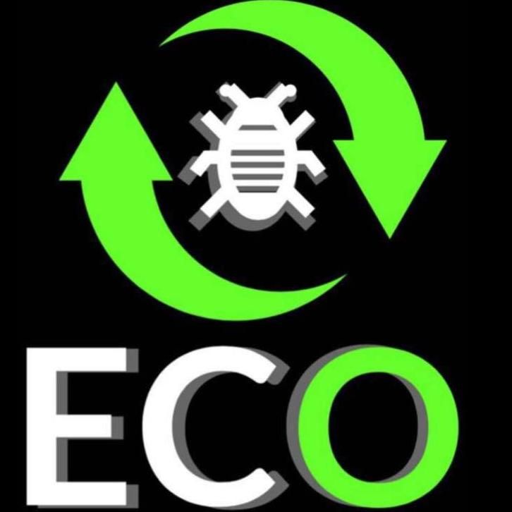 Eco Bed Bug Washington DC