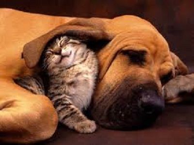 cute pic found on google