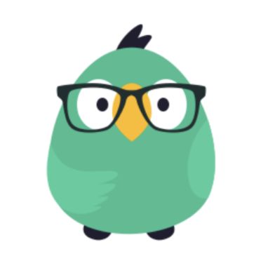 Parakeet | Website Experts