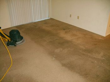Before pic, heavily soiled with grease,dirt,and oi