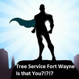 Tree Service Fort Wayne