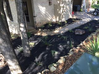 After. weed removal,plant transplants, black mulch