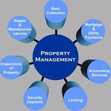 Property Management & Real Estate
