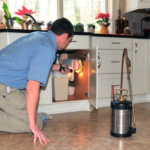 Household pests thrive under sinks due to the prox
