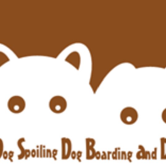 Dog Spoiling Dog Boarding and Daycare
