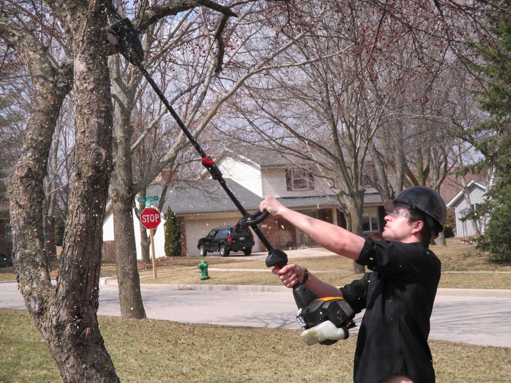 Using the pole chainsaw