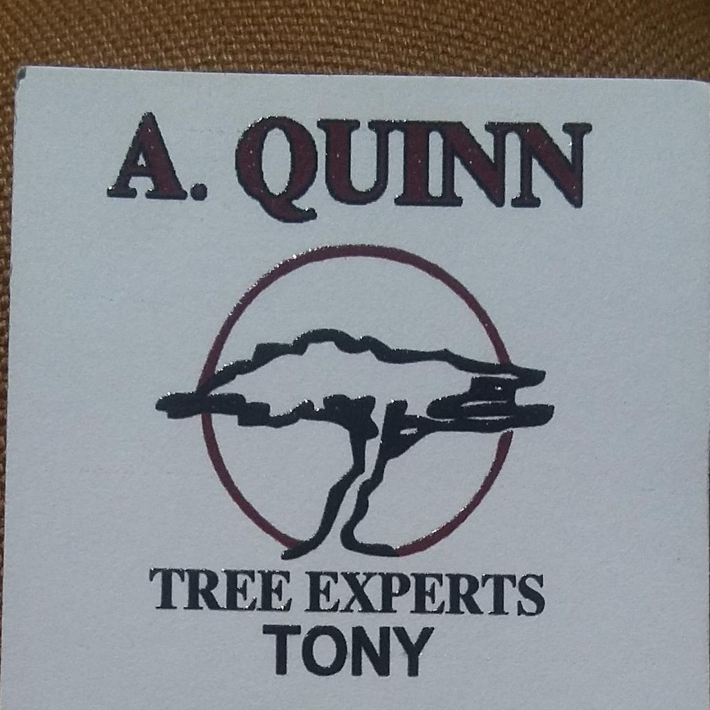 "A" Tree Experts