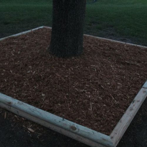 Mulch box made of 3x3 landscape timbers two layers