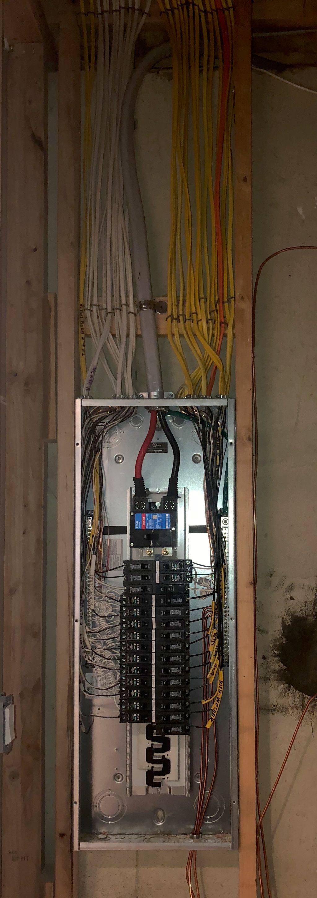 Projects and media