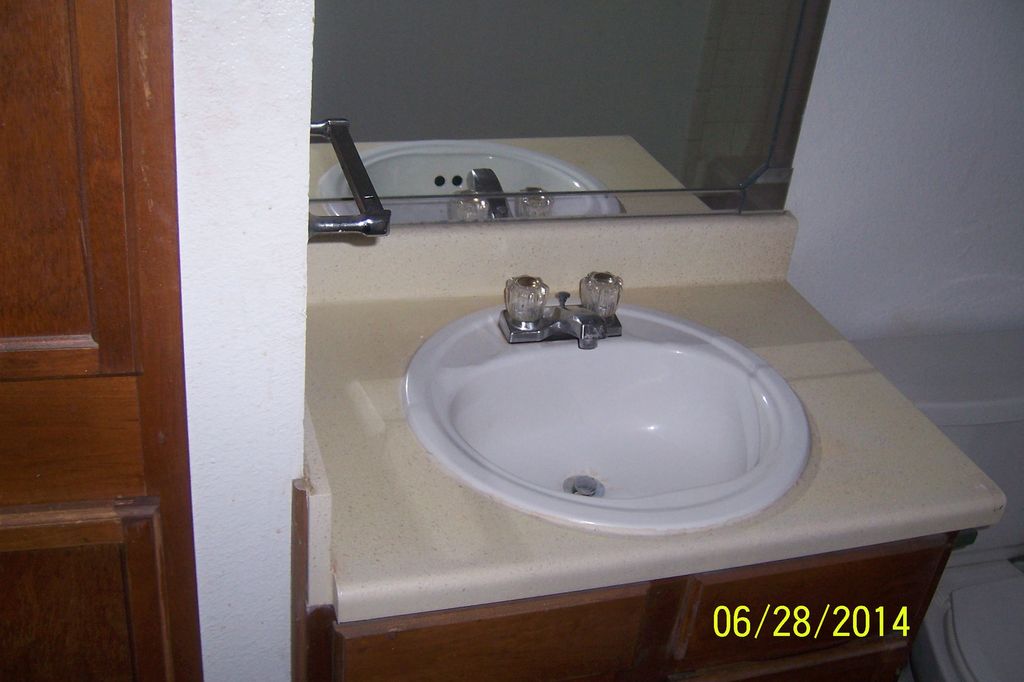 Bathroom Sink...After