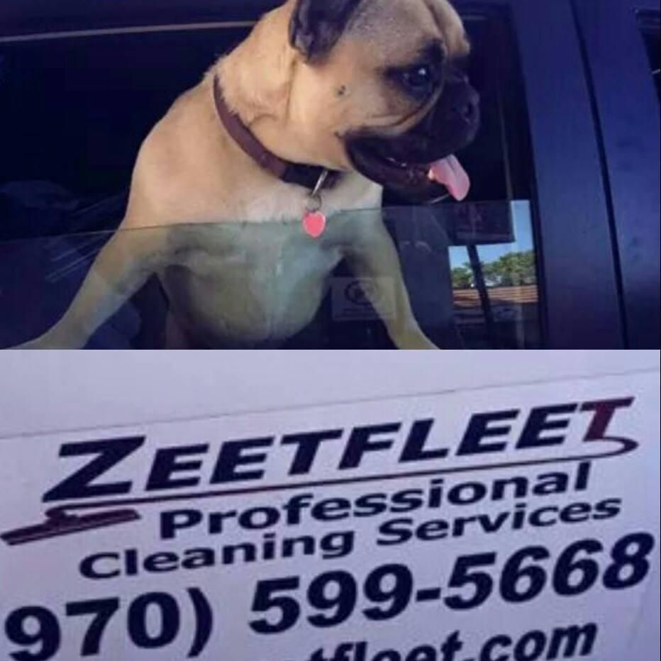 Zeetfleet Professional Cleaning Services