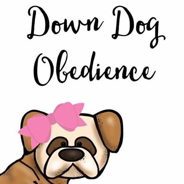 Down Dog Obedience