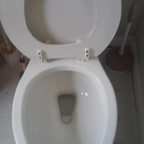 Toilet after cleaning.