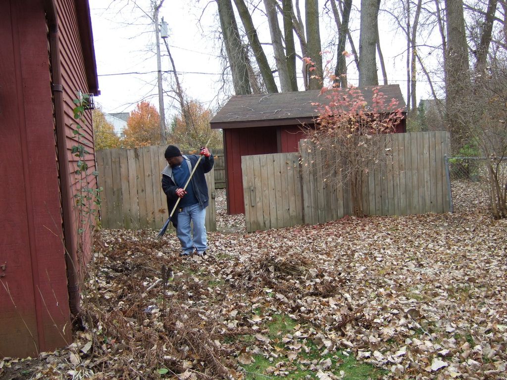 Fall Clean Up