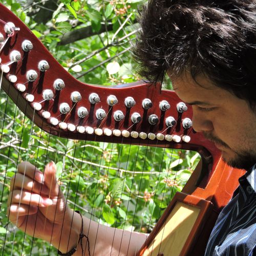 Solo harpist - Harp Teacher of Latin American musi
