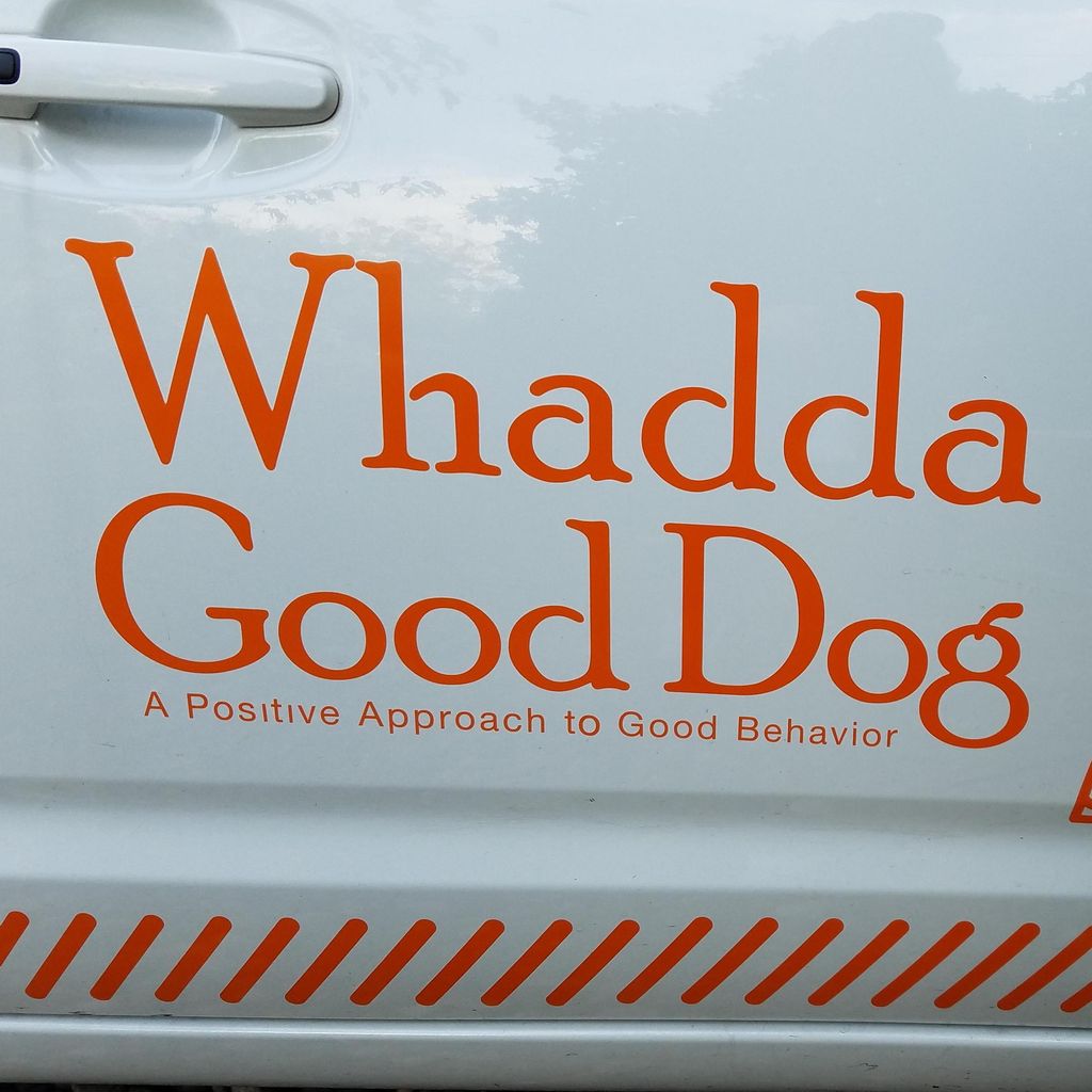 Whadda Good Dog