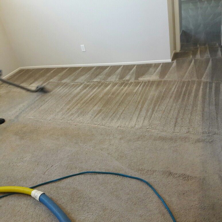 Allied carpet and upholstery cleaning services