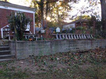 After-Tree Service 
Customer 3