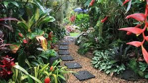 Tropical Path-
This was a simple path connecting t
