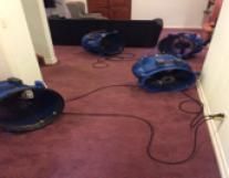 Air movers are used to increase the drying process