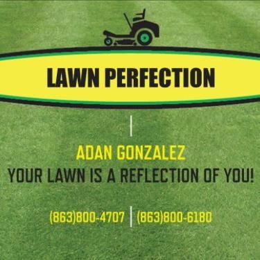 Lawn Perfection