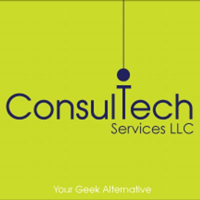 ConsulTech Services, LLC