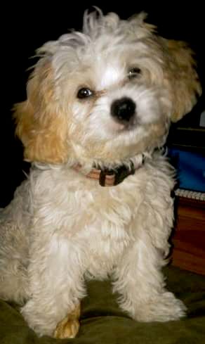 Mr. Charming Charlie