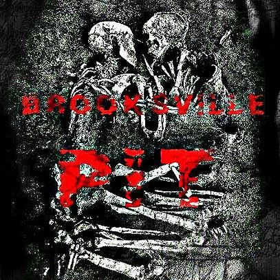 Brooksville PIT (paranormal investigation team)