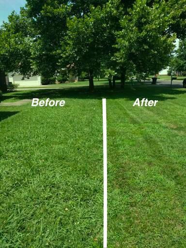 Weekly & Bi-weekly Mowing