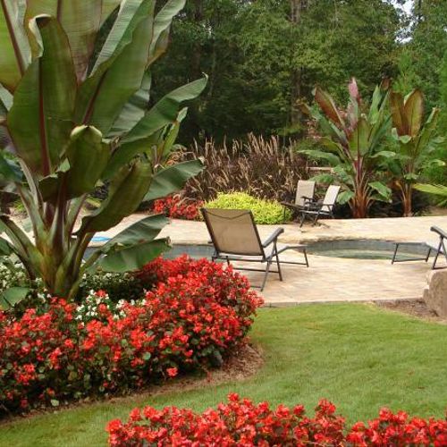 Beautiful tropical landscaping to bring your outdo